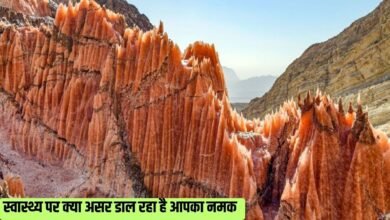 स्वास्थ्य पर क्या असर डाल रहा है आपका नमक