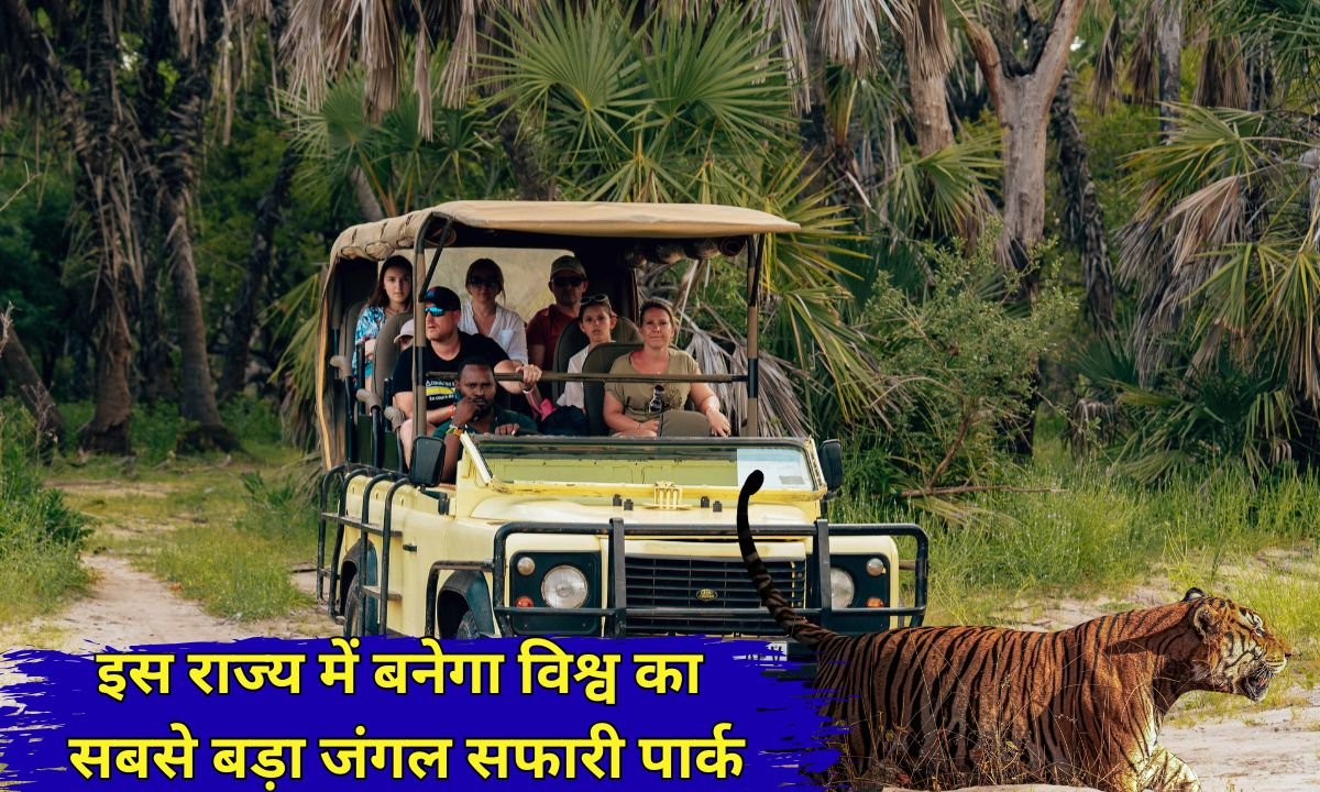 Haryana Jungle Safari: The world's largest jungle safari park will be built in this state