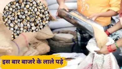 Haryana News : Millet will not be distributed at the ration depot