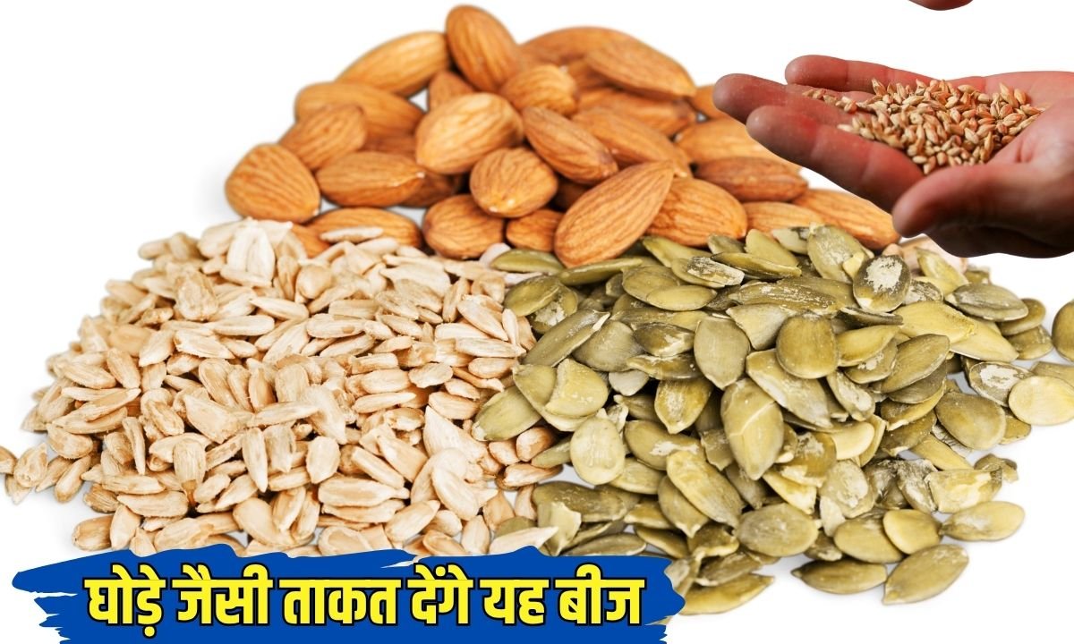 संपूर्ण आयुर्वेदिक टानिक है मगज