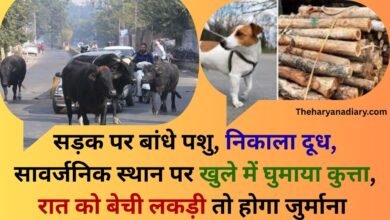 Public Trust Ordinance: 500 rupees fine for walking dogs in the open, tying animals on the road, digging up streets