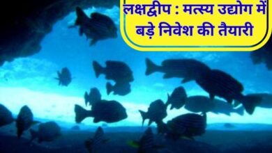 लक्षद्वीप में मत्स्य उद्योग में बड़े निवेश की तैयारी