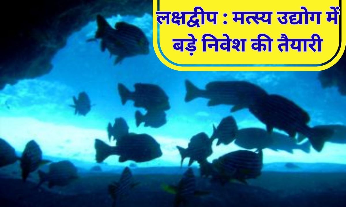 लक्षद्वीप में मत्स्य उद्योग में बड़े निवेश की तैयारी