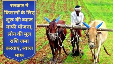 Farmer Loan Maafi Interest will be waived for debt-ridden farmers; the government has introduced a one-time settlement scheme.