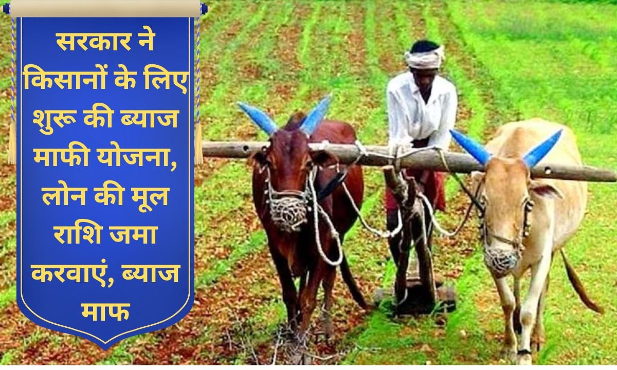 Farmer Loan Maafi Interest will be waived for debt-ridden farmers; the government has introduced a one-time settlement scheme.