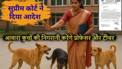 Haryana Now the teachers are responsible for monitoring the dogs, UGC has issued instructions to all schools and colleges