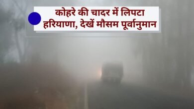 Haryana Weather Fog