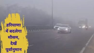 Haryana Weather Haryana Winter Cold Wave Fog