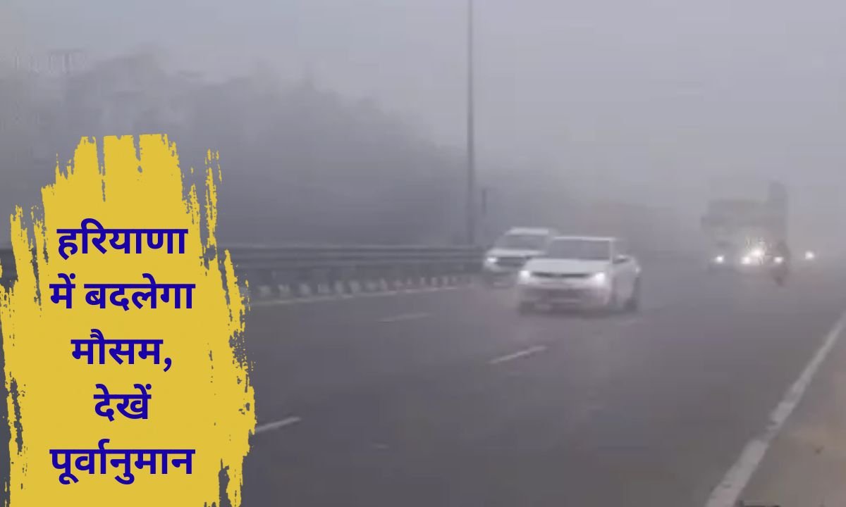 Haryana Weather Haryana Winter Cold Wave Fog