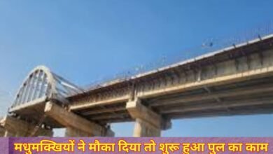 Jalore Steel Bridge : मधुमक्खियों ने मौका दिया तो शुरू हुआ पुल का काम