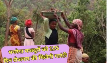 मनरेगा मजदूरों को 125 दिन रोजगार की मिलेगी गारंटी