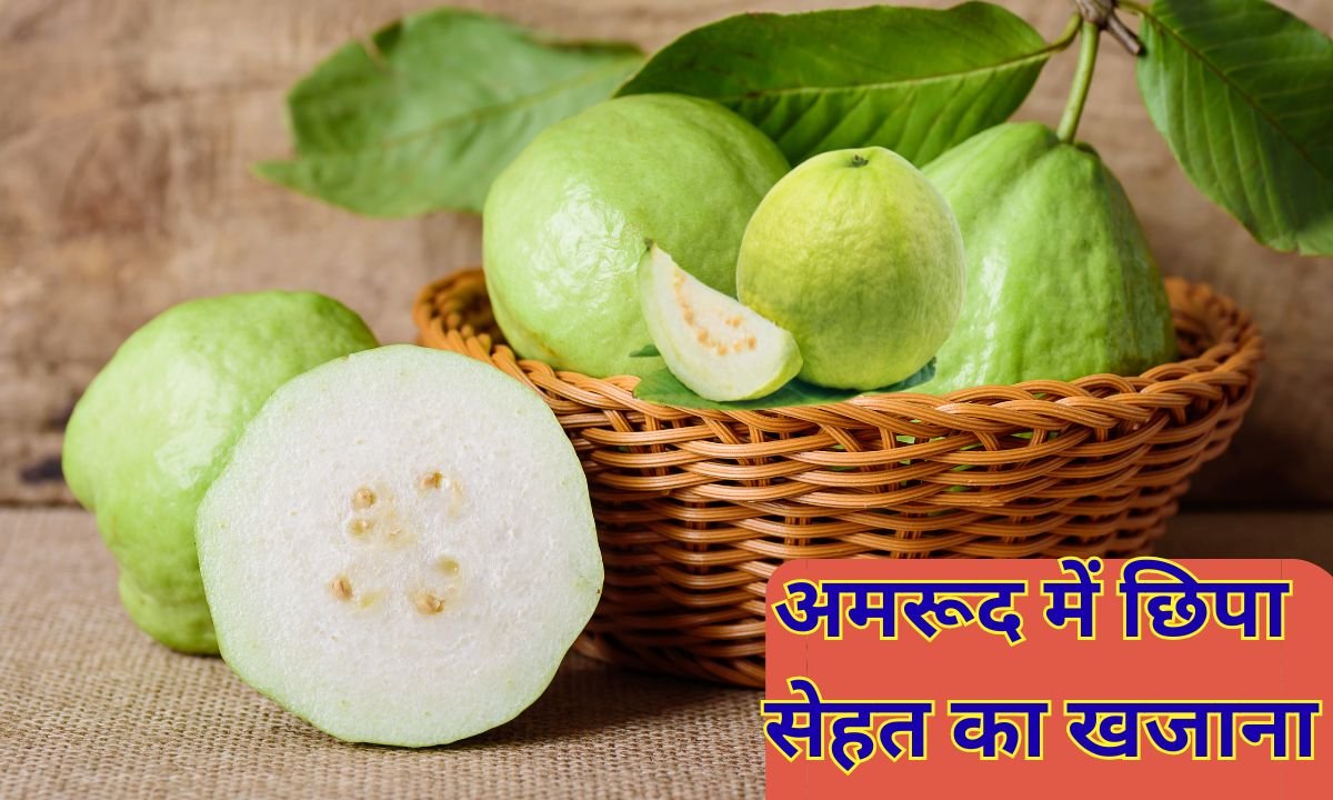 अमरुद एक लाभ अनेक