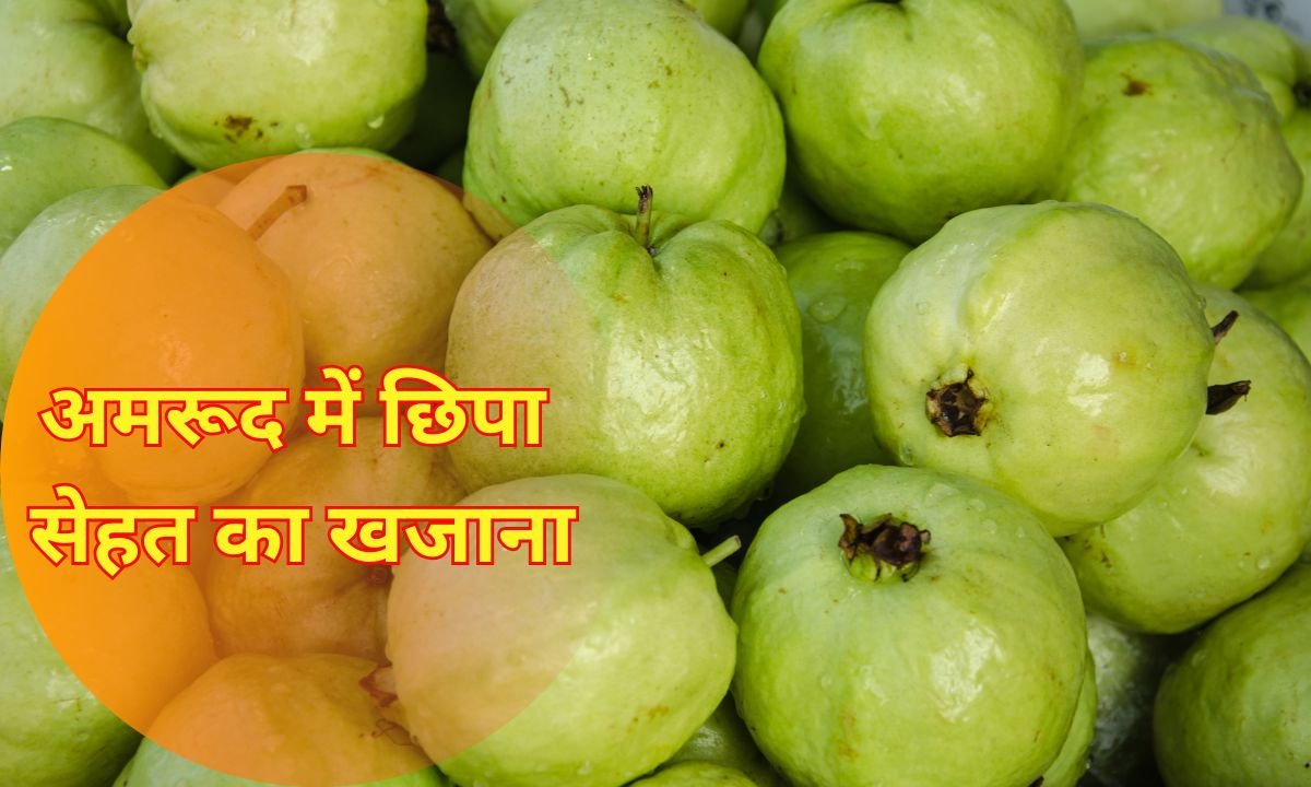 अमरुद एक लाभ अनेक