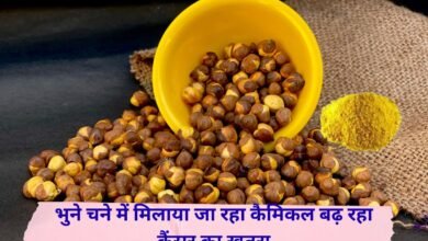 भुने चने में मिलाया जा रहा कैमिकल बढ़ रहा कैंसर का खतरा