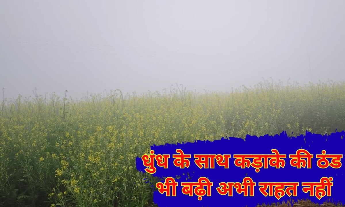 धुंध के साथ कड़ाके की ठंड भी बढ़ी, अभी राहत नहीं