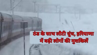 10 January Weather : ठंड के साथ लौटी धुंध, हरियाणा में बढ़ी लोगों की मुशकिलें
