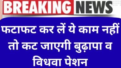 Family ID update Do this work quickly, otherwise old age and widow pension will be cut.