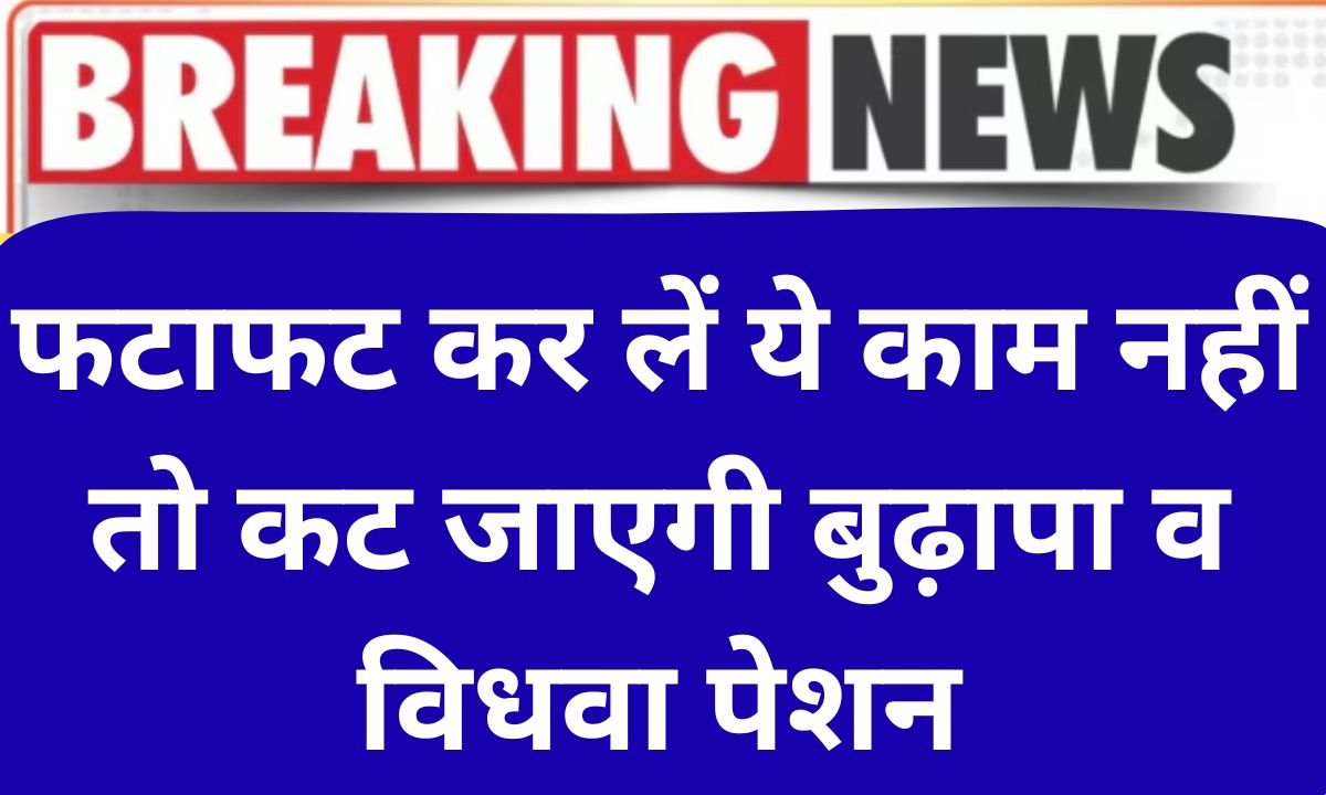 Family ID update Do this work quickly, otherwise old age and widow pension will be cut.