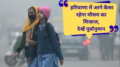 Haryana Weather Update Fog and cold wave alert issued in 12 districts of Haryana