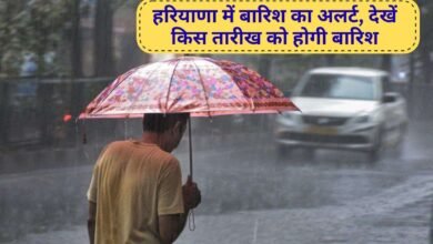 Haryana Weather Update Rain alert for 5 days till January 31 in Haryana