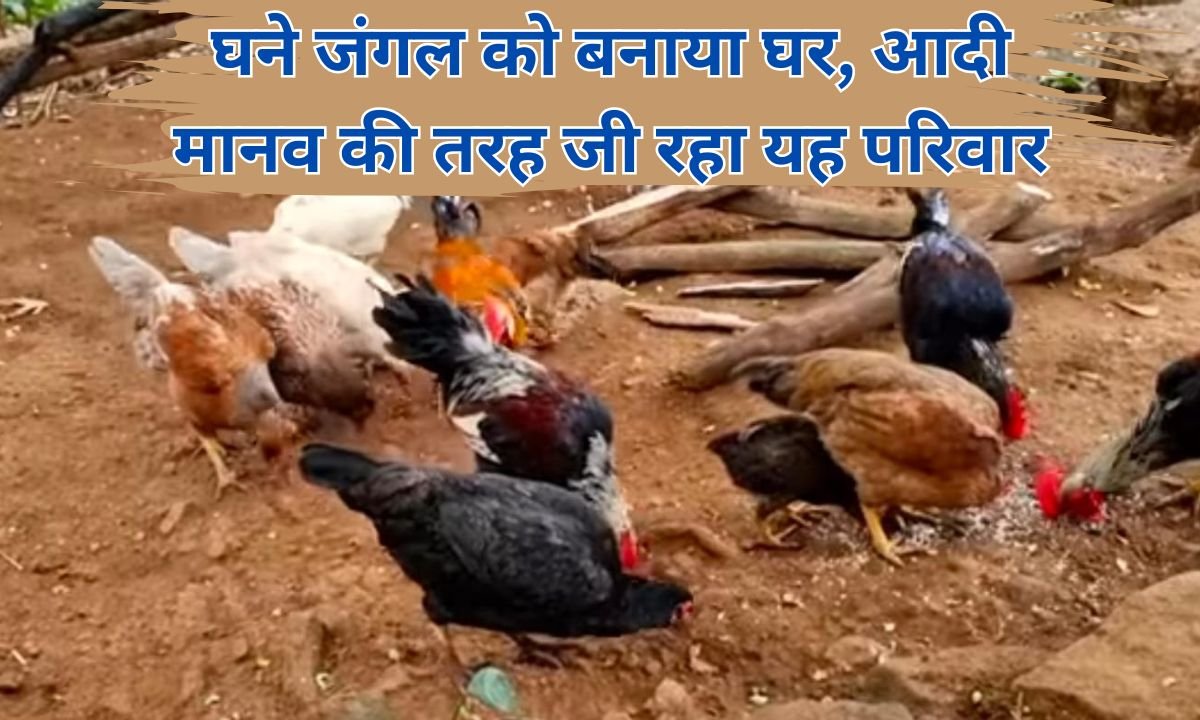 Tribal Family: Made the dense forest their home, this family is living like a primitive human being