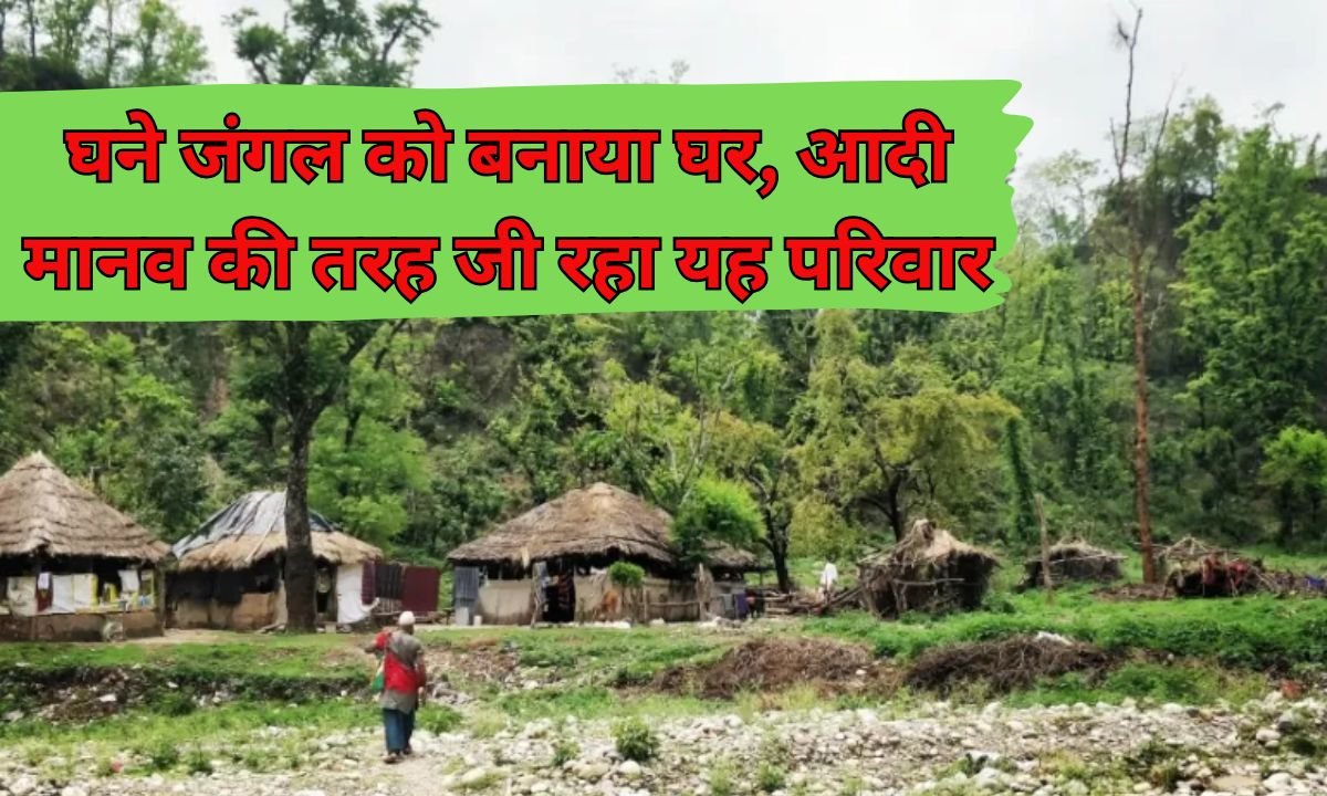 Tribal Family: Made the dense forest their home, this family is living like a primitive human being