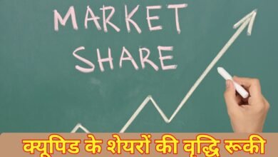 Cupid Limited Share : क्यूपिड के शेयरों की वृद्धि रूकी, शुक्रवार को हुए धड़ाम