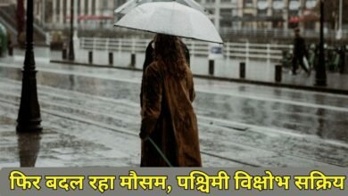 29 January Weather: Weather is changing again, western disturbance is active