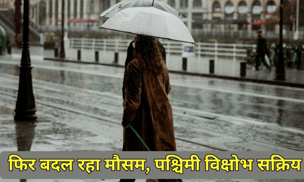 29 January Weather: Weather is changing again, western disturbance is active