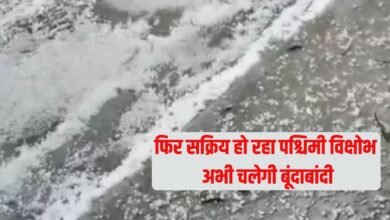 28 January Weather: Western disturbance is becoming active again, drizzle will continue now.