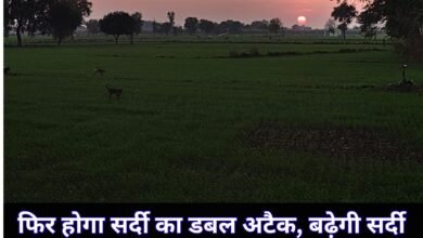 Weather Update : फिर होगा सर्दी का डबल अटैक, बढ़ेगी सर्दी