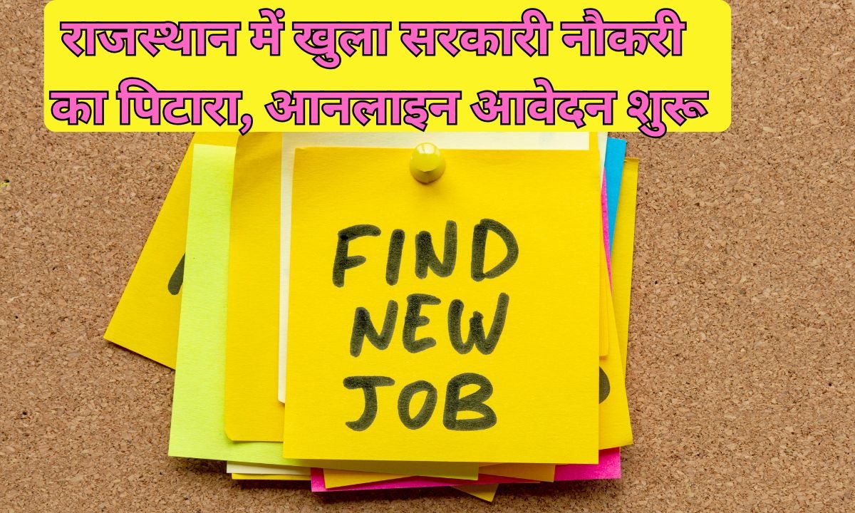 Rajasthan Govt Job: Government job openings open in Rajasthan, online applications begin