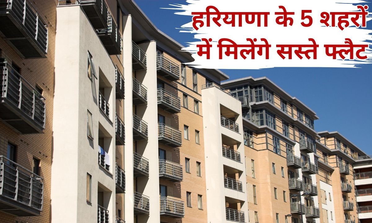 Affordable Flats: Cheap flats available in 5 cities of Haryana