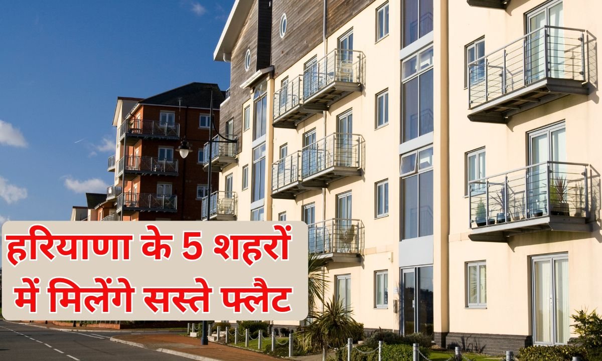 Affordable Flats: Cheap flats available in 5 cities of Haryana