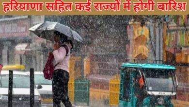 27 January Weather: Rain will occur in many states including Haryana, cold will increase in North India