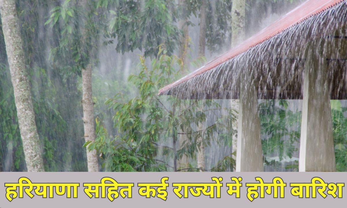 Rain Forecast: There will be rain in many states including Haryana
