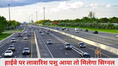 Stray Animal Alert On Highway: If a stray animal comes on the highway, you will get a signal.