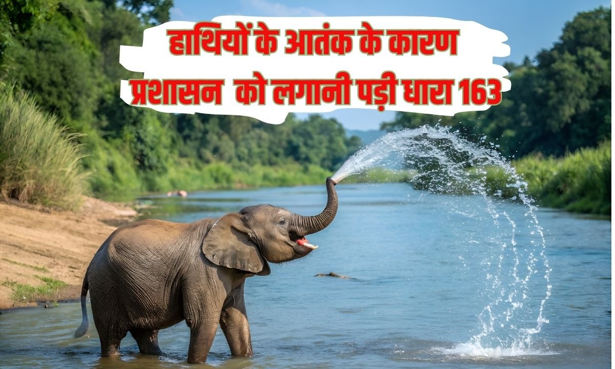 Elephant Activity: Due to the terror of elephants, the administration had to impose Section 163