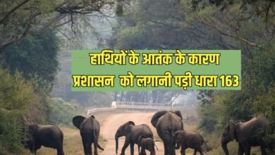Elephant Activity: Due to the terror of elephants, the administration had to impose Section 163