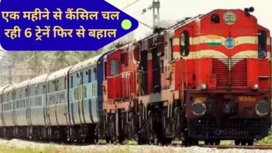 Cancelled Trains Restored Train List Fog and Interlocking Work