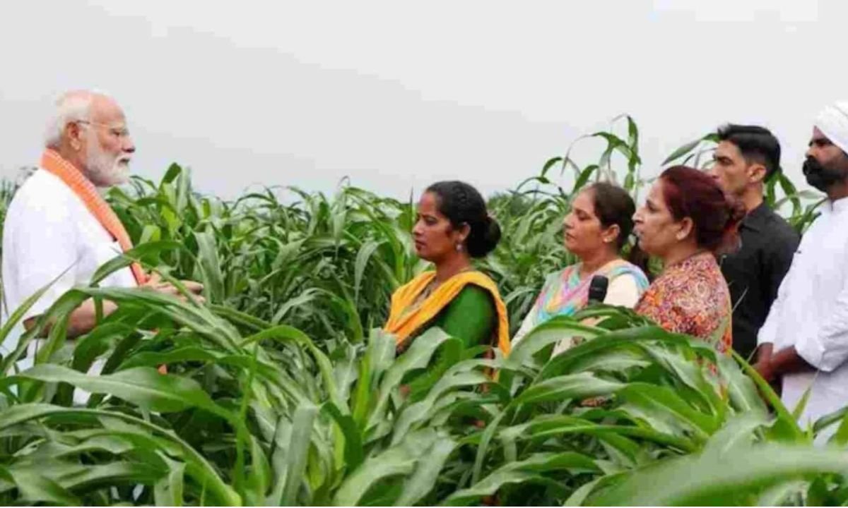 KCC Loan KCC loan under PM Kisan Yojana is now even easier