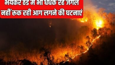 Forest fire: Forests are blazing even in the severe cold, incidents of fire are not stopping.