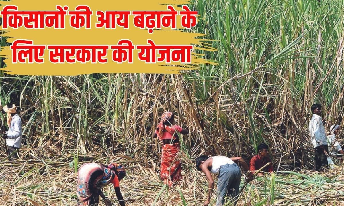 MP government farmers scheme: Special scheme of the government to increase the income of farmers in Madhya Pradesh