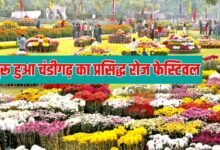 Rose Festival 2026: Chandigarh's famous Rose Festival begins, with roses and other exciting activities