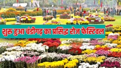 Rose Festival 2026: Chandigarh's famous Rose Festival begins, with roses and other exciting activities