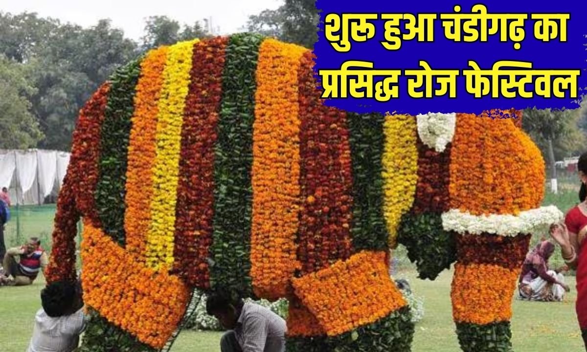 Rose Festival 2026: Chandigarh's famous Rose Festival begins, with roses and other exciting activities