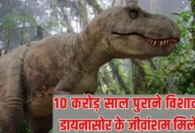 100 Million Year Old Dinosaur: 100 million year old fossils of giant dinosaurs found, the Sahara Desert was a riverine region.