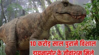 100 Million Year Old Dinosaur: 100 million year old fossils of giant dinosaurs found, the Sahara Desert was a riverine region.