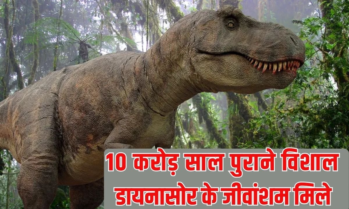 100 Million Year Old Dinosaur: 100 million year old fossils of giant dinosaurs found, the Sahara Desert was a riverine region.