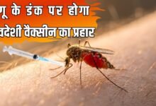 Indigenous vaccine will counter dengue, doses may be available this year